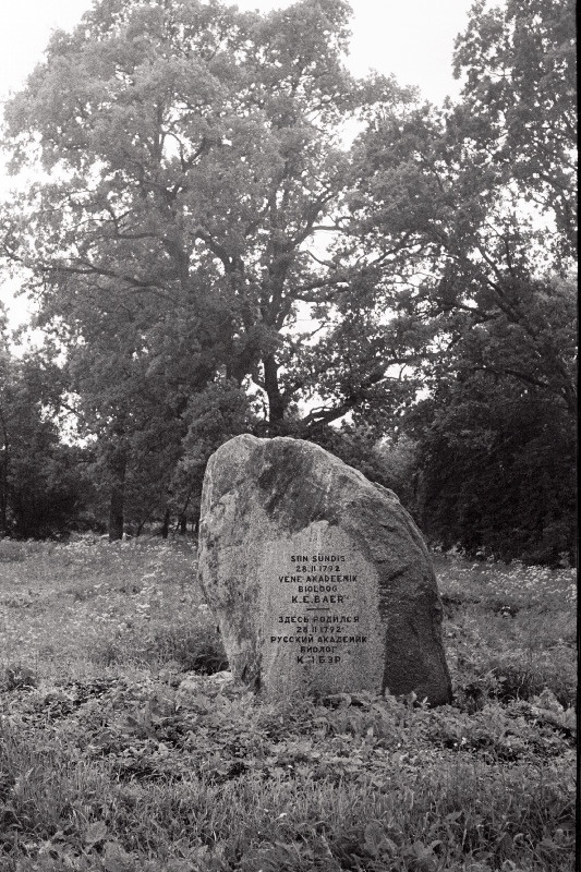 Mälestuskivi baltisaksa loodus- ja arstiteadlase Karl Ernst von Baeri sünnikohas Piibe pargis.