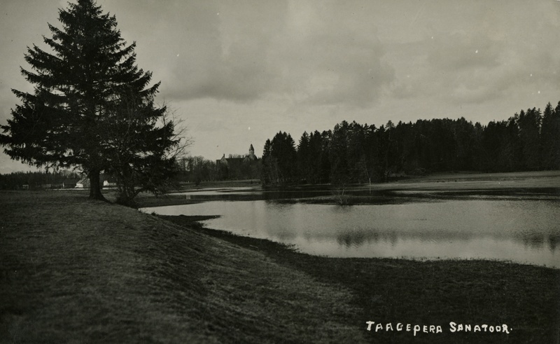 Taagepera mõis, vaade sanatooriumile pargist