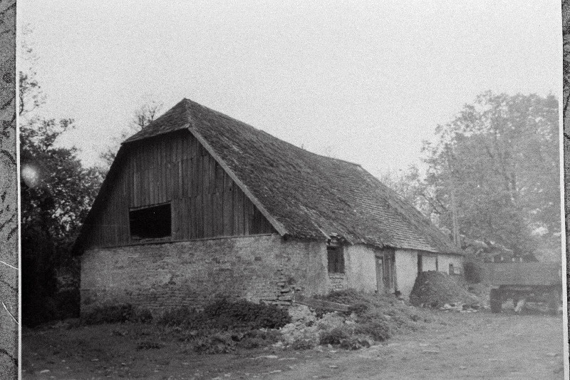 Vana karjalaut Vitis.