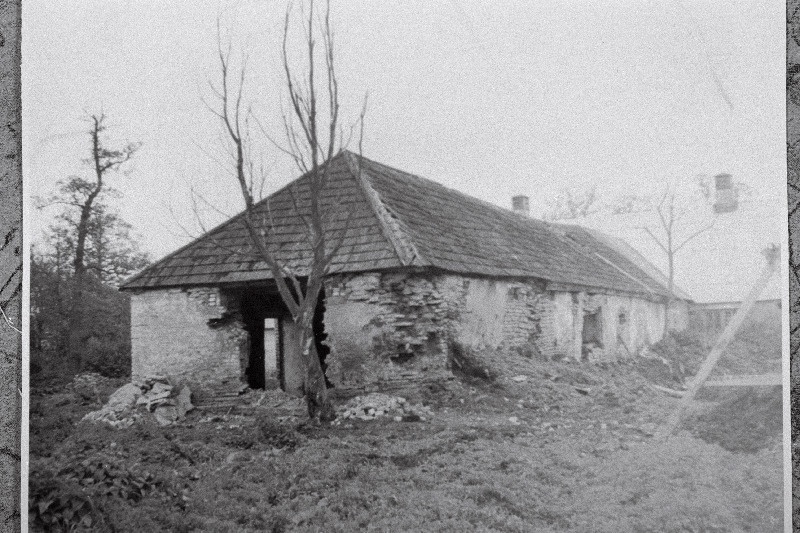 Vana karjalaut Vitis.