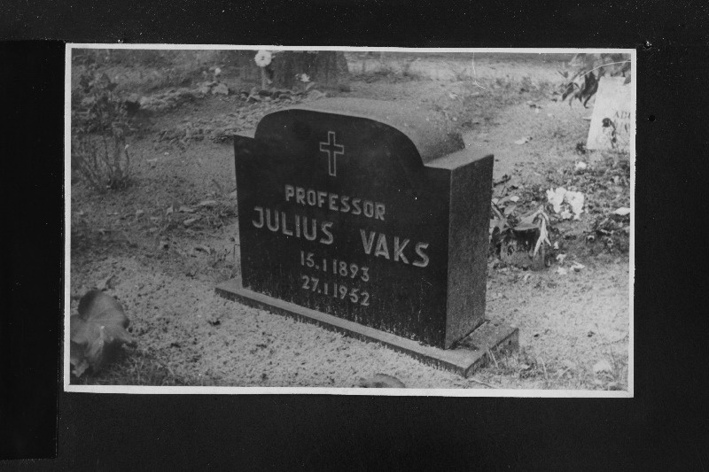 Professor Julius Vaksi hauaplaat Suure-Jaani kalmistul.