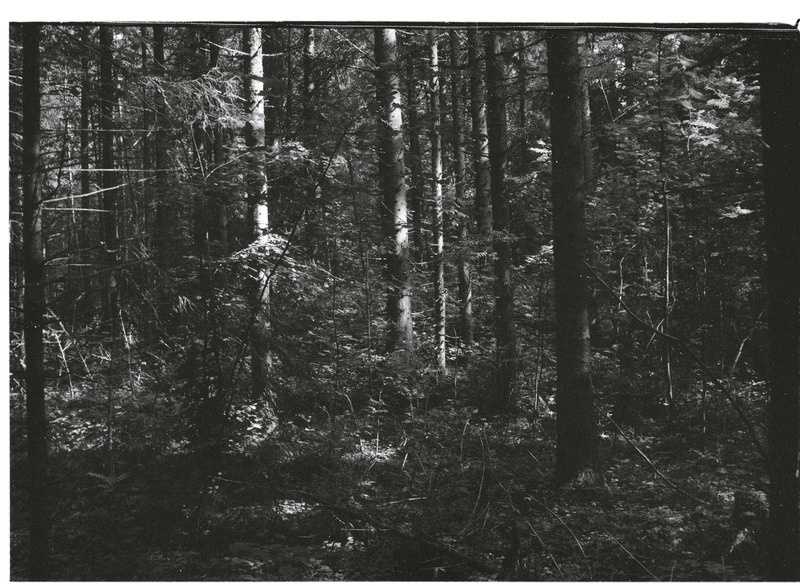 Kivikalme Moe külas