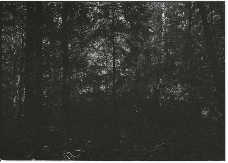 Kivikalme Moe külas