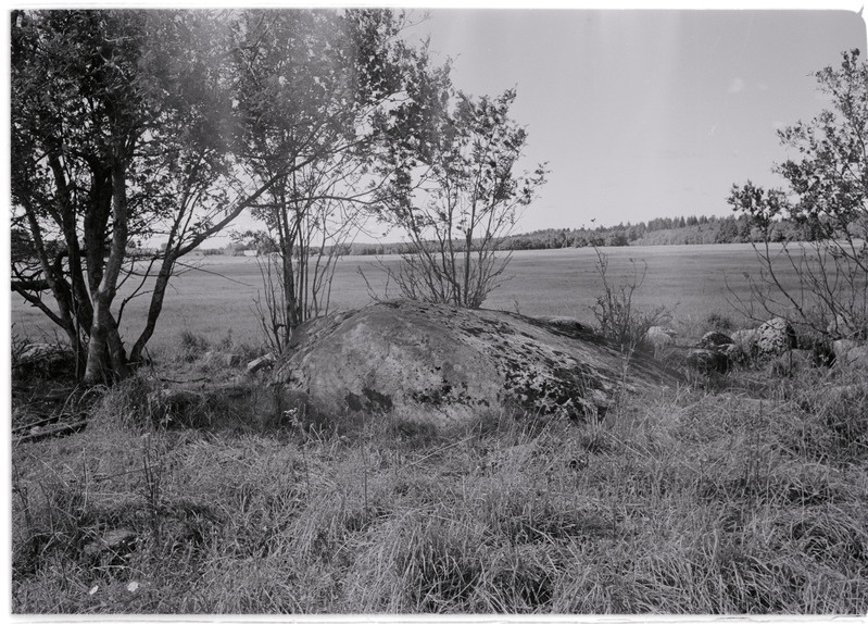 Kultusekivi Aresi Altküla põllul