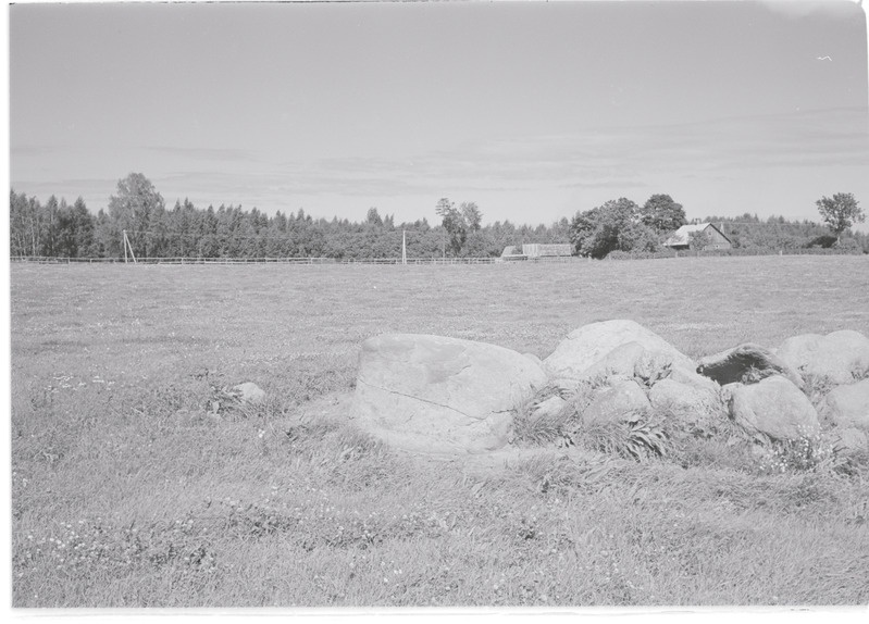 Kultusekivi Jäätma külas