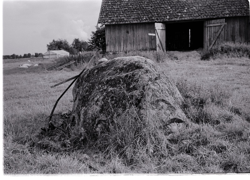 Kultusekivi Koonu külas