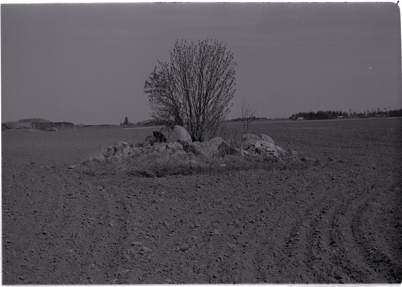 Kultusekivi Sooaluse koolimaja juures