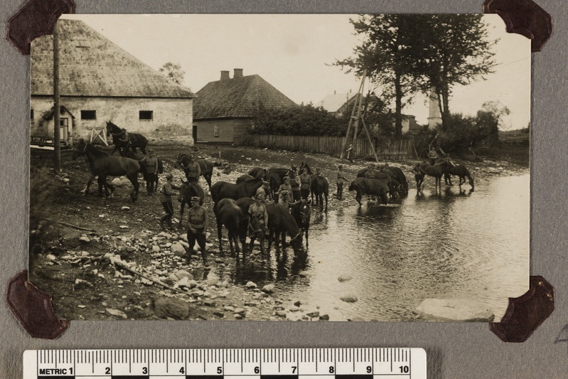 Reservõppused