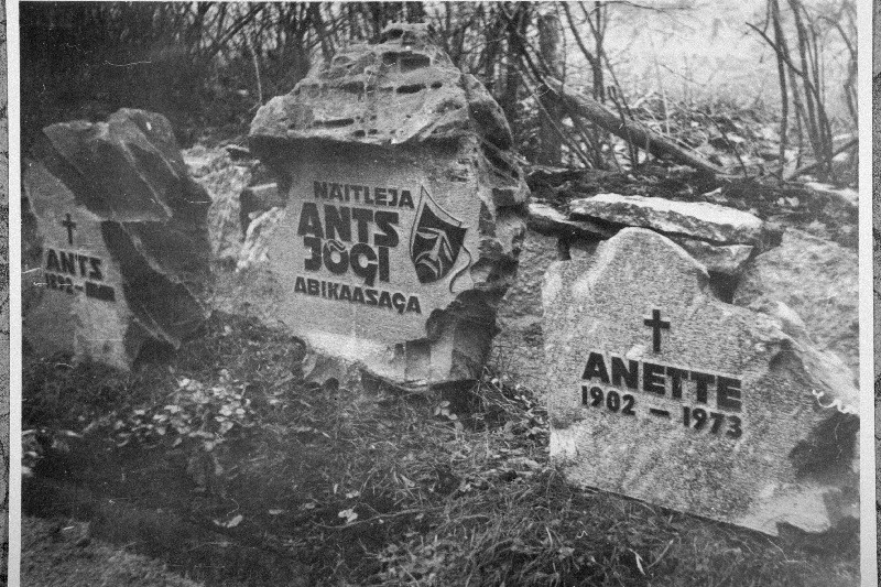 Näitleja Ants Jõgi perekonna matmispaik Metsakalmistul.