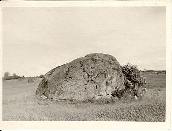 Photo, sacrifice stone in Viisu village in the land of Leelu farm in 1961.