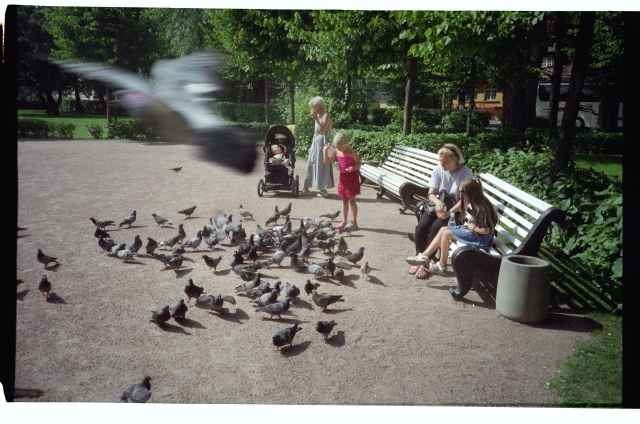 Naised lastega Tallinnas Kadrioru pargis tuvisid söötmas