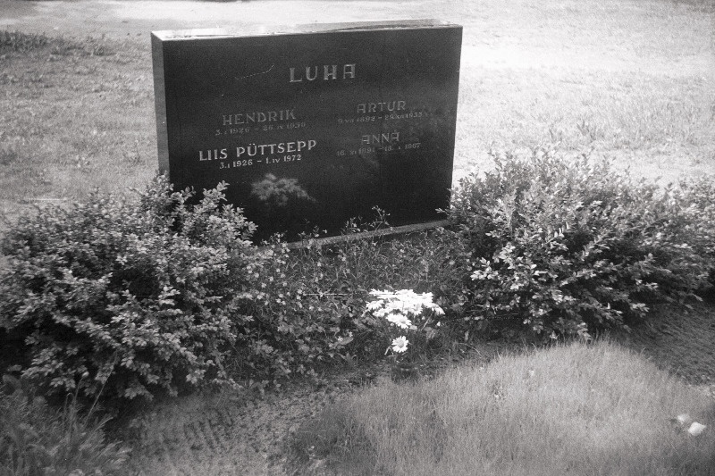 Loodusteadlase Artur Luha hauatähis Rahumäe kalmistul.