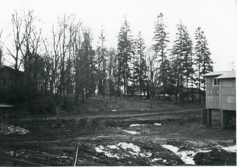 Iisaku park