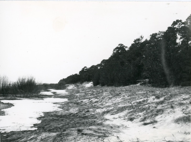 Smolnitsa luidestik, geoloogiline kaitseala