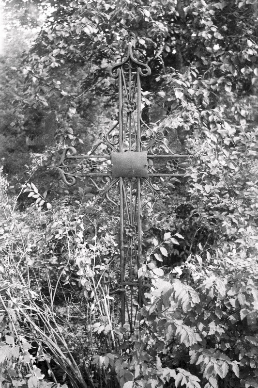 16.10.1905. a Uuel turul rahvakooolekul hukkunu hauarist Rahumäe kalmistul.