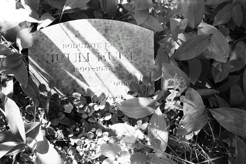 Lastekodu juhataja, kodutute ema Juuli Kuuli hauakivi Siselinna Vana-Kaarli kalmistul.