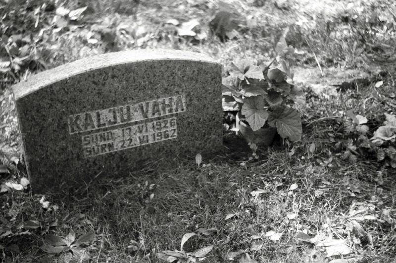 Näitleja Kalju Vaha hauakivi Metsakalmistul.