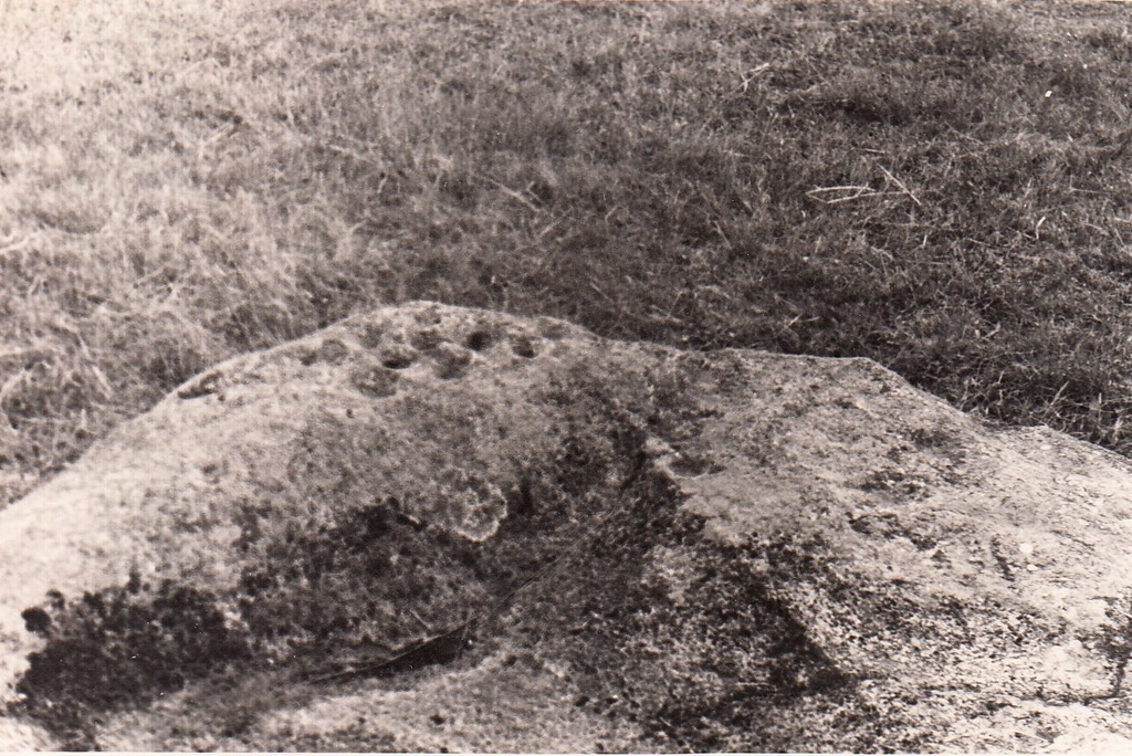 Ohvrikivi