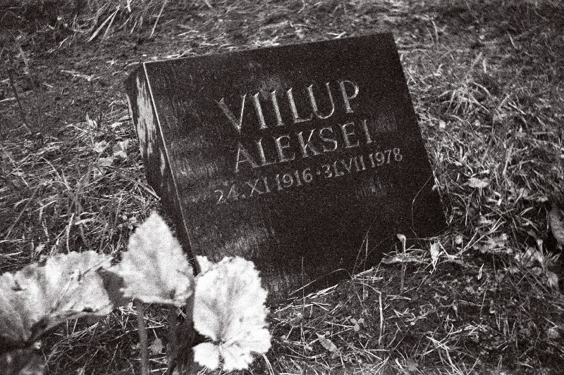 Maali- ja kujunduskunstniku Aleksei Viilupi hauakivi Metsakalmistul.