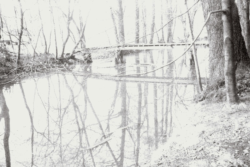 Löwenruh park.