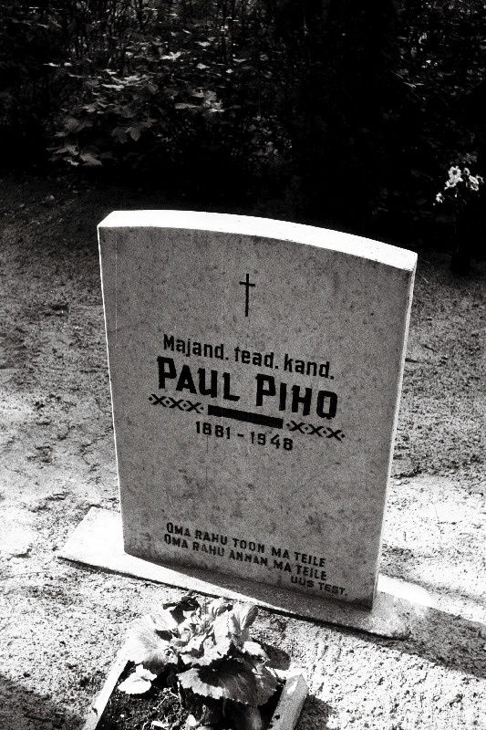 Majandusteadlase Paul Piho hauakivi Pindi kalmistul.