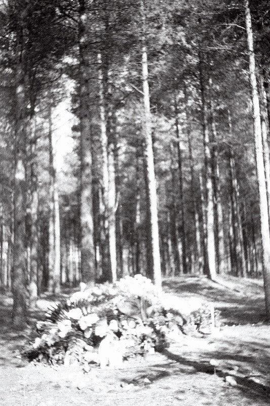 Kunstnik Juhan Kangilaski kalm Pärnamäe kalmistul.