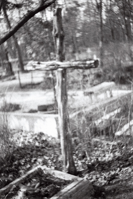 Kadakast rist Rahumäe kalmistul.