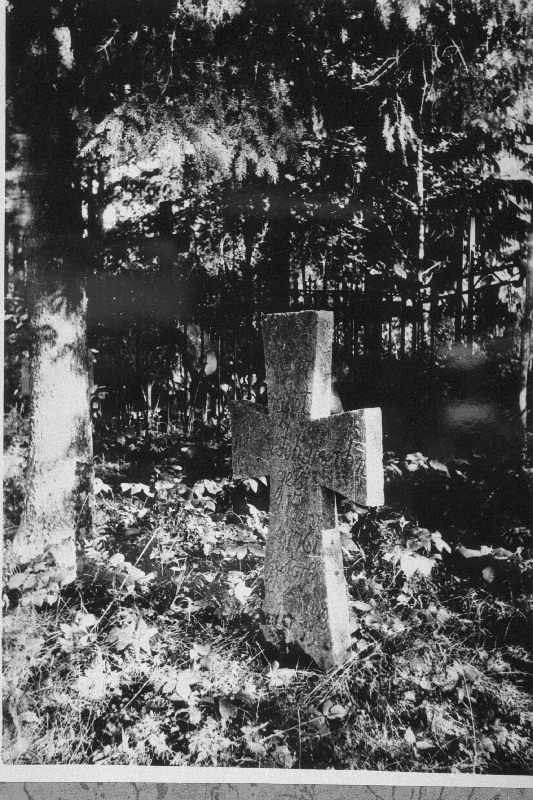 Martin Johansohni paekivist hauarist Vilivalla kalmistul.