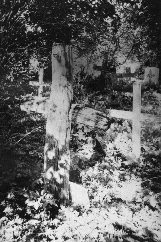 Puust ristid Jõelähtme kalmistul.