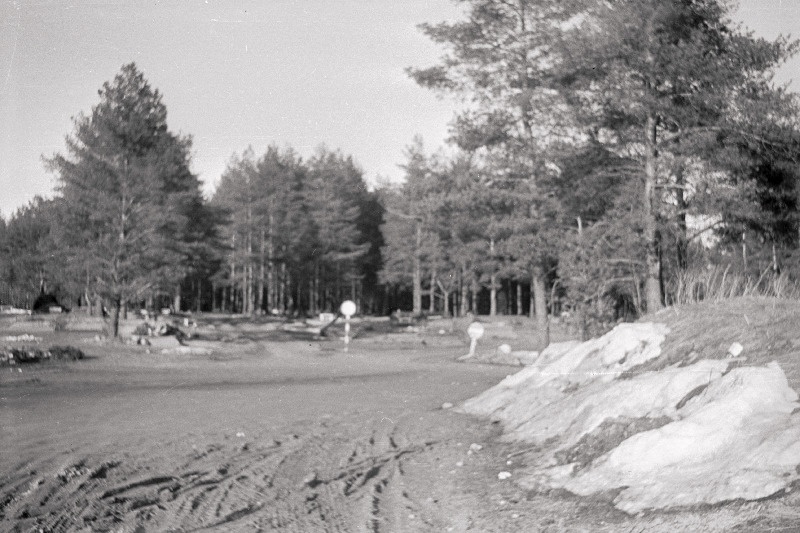 Vaade Viljandi Metsakalmistule.