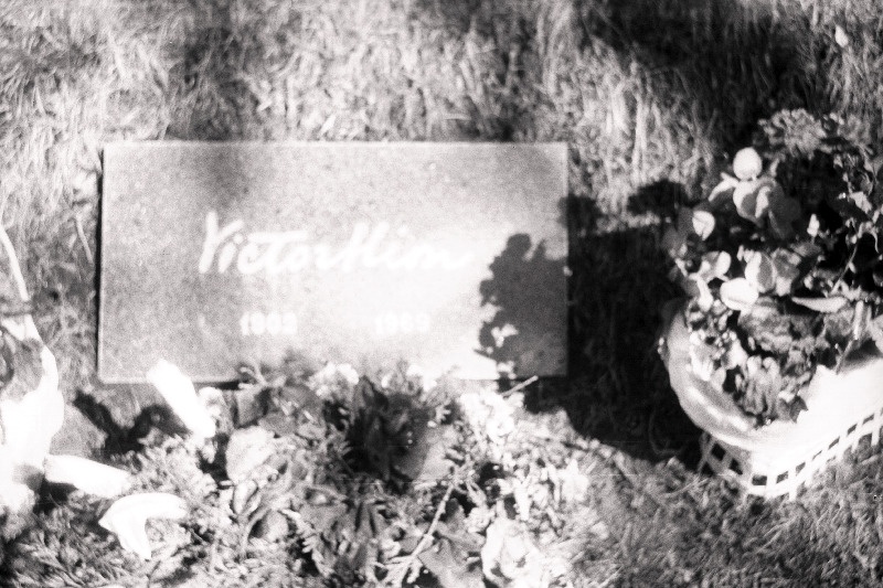 Nõukogude riigitegelase ja arsti Victor Hioni hauakivi Metsakalmistul.