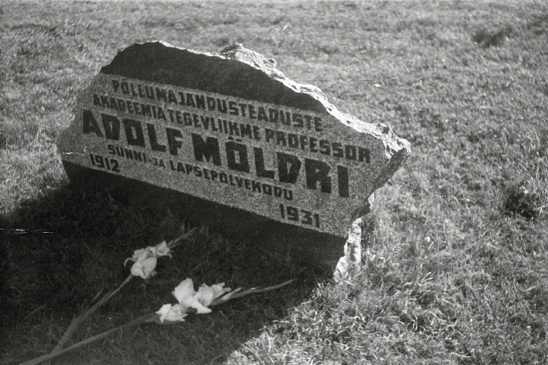 Loomakasvatusteadlase prof Adolf Mölderi lapsepõlvekodu mälestuskivi Tudulinnas.