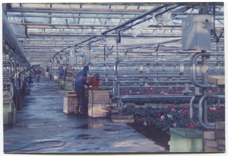 Pirita LNS aiandi sisevaade