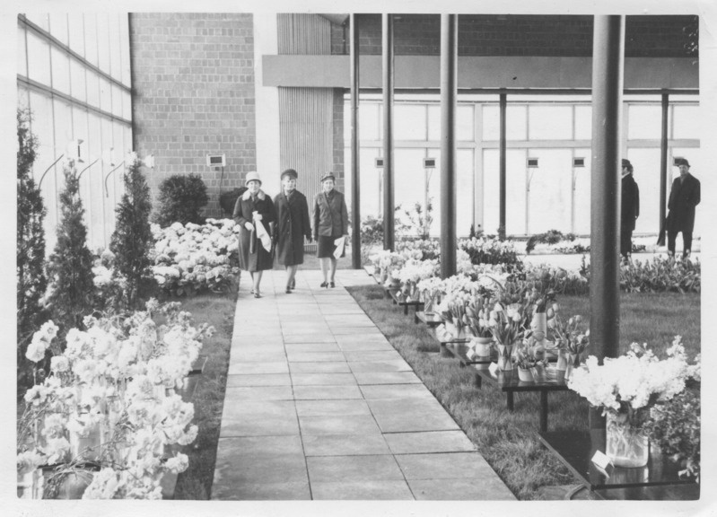 Lillenäitusel. Pirita lillepaviljon, 1967.