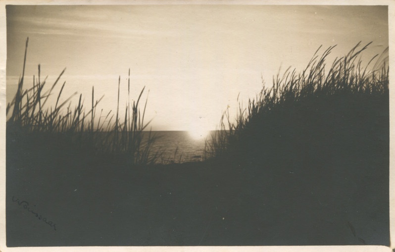 Päikeseloojang Naissaarel, esiplaanil kõrkjad