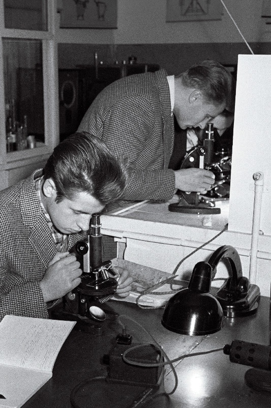 Eesti Põllumajanduse Akadeemia agronoomiateaduskonna üliõpilased Raivo Adlas ja Valter Tiidenberg mikrobioloogia praktikumil.