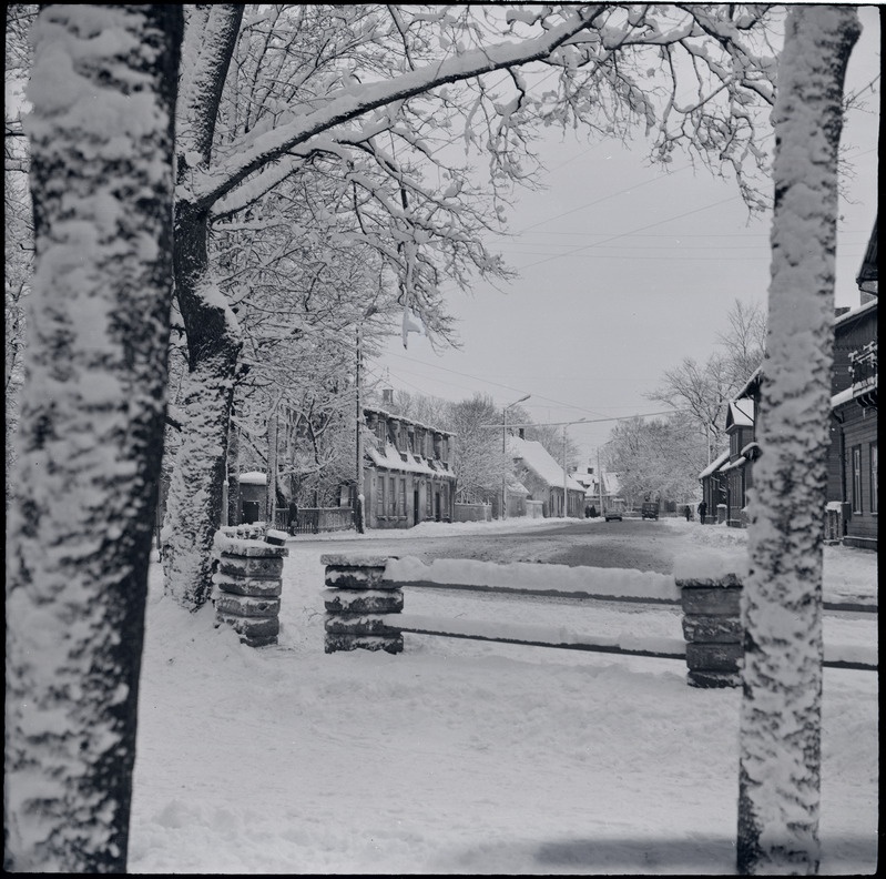 Lossi t. vaade pargi poolt