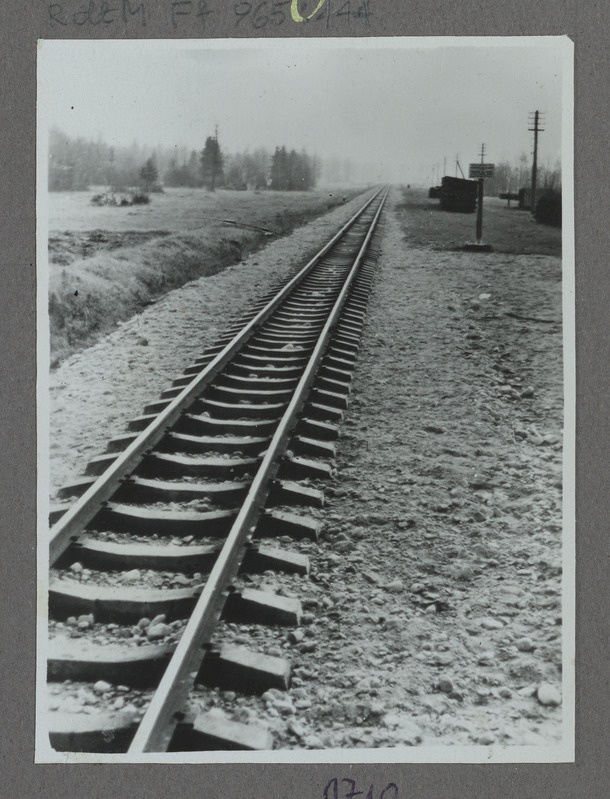 Eesti raudtee: raudbetoonliipritele asetatud kitsarööpmeline teelõik Lelle-Eidapere jaamade vahel, 1959, foto: J. Kalvik