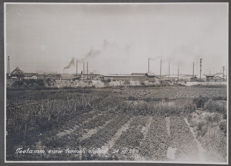 Paldiski maantee raudteeviadukti ehitus Tallinnas: raudteetamm enne tunneli ehitust, 24.juuli 1925.