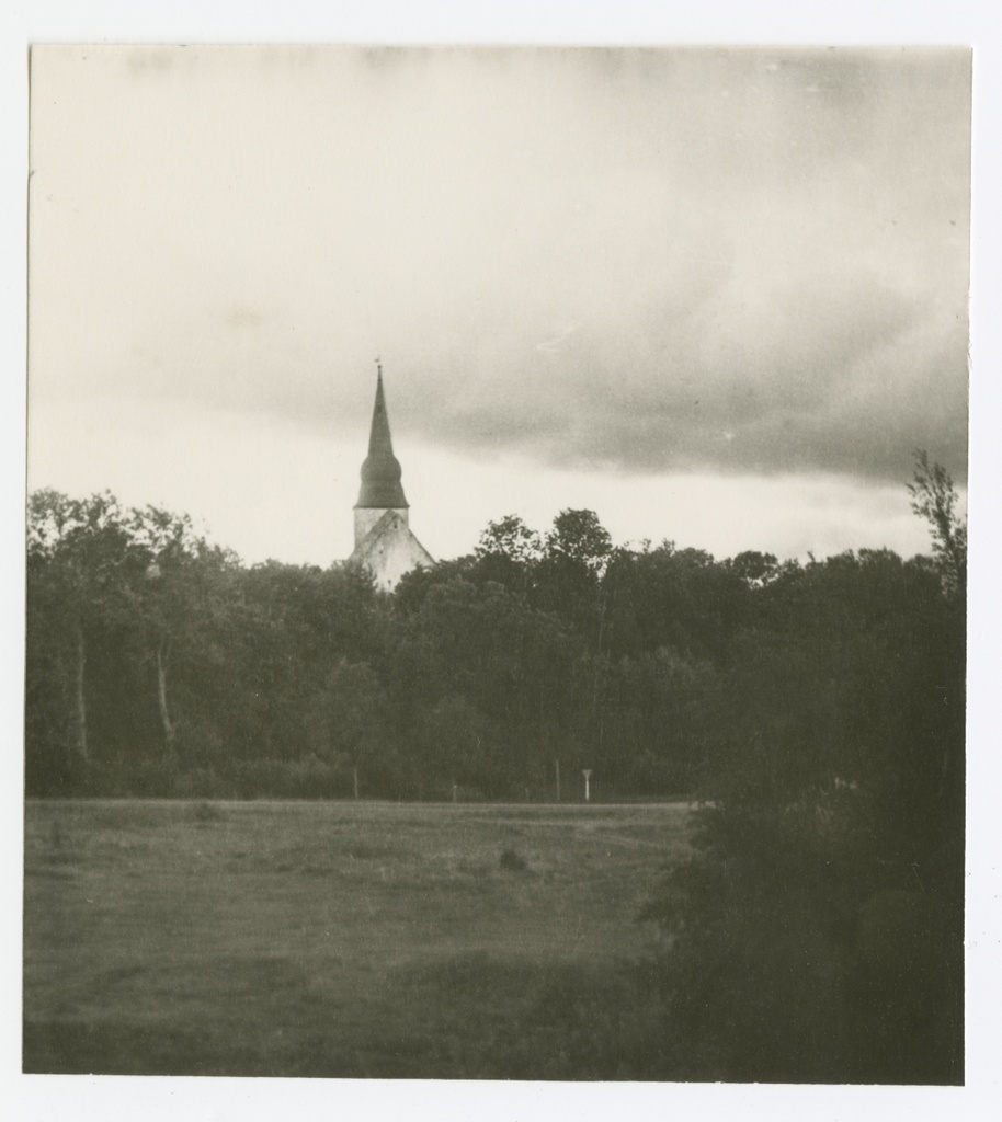 Vaade Kaarma maalinnuselt Kaarma kirikule