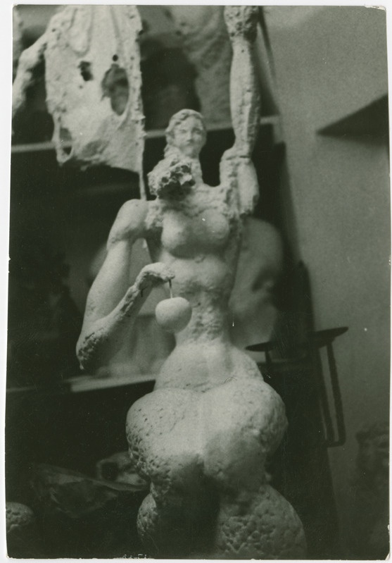 Teos "Eeva kolhoosiaias"