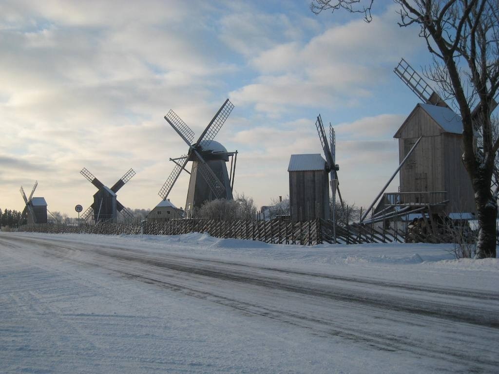 Angla Viite farm pudding wind