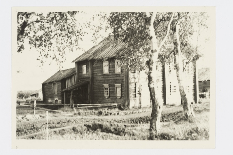 Elamu, "p´ert". Zalesje (Metsantaga) k