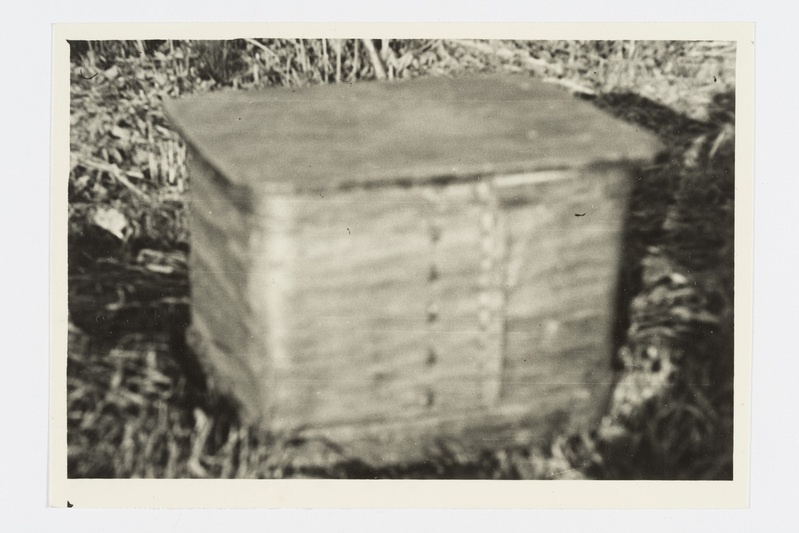 Kast, "lip´az" tammelaastust, pesu hoidmiseks. Zalesje (Metsantaga) k