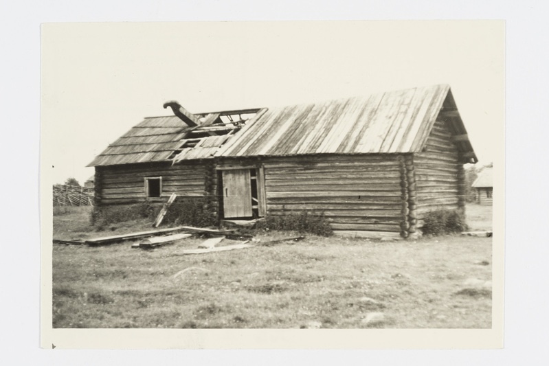 Vana rehi, "rih" tagantvaates. Vehrutšei k