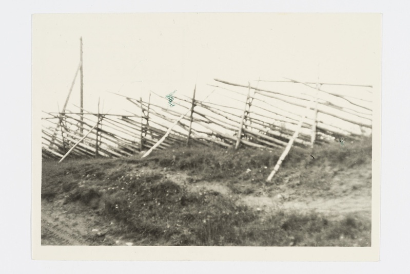 Tara, "pištaid". Vehrutšei k