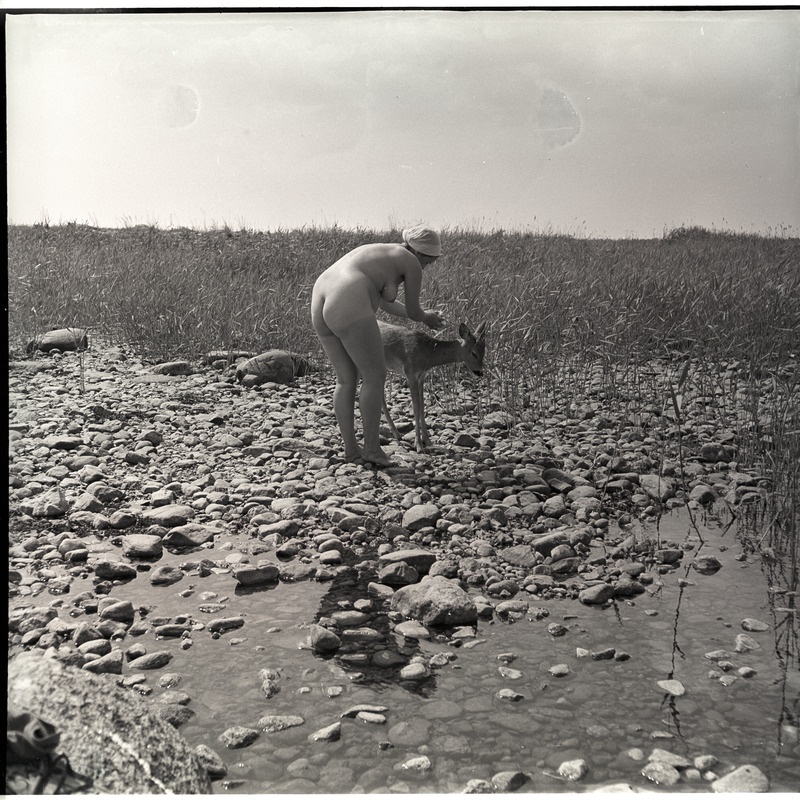 Akt metskitsega Aegna saare rannal