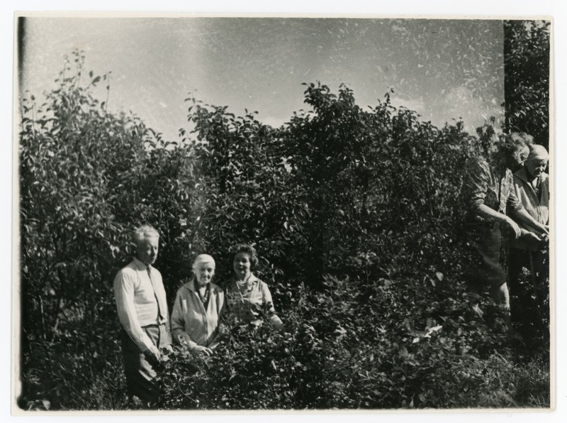Sõpradega