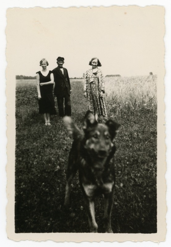 Lahmusel, august 1935