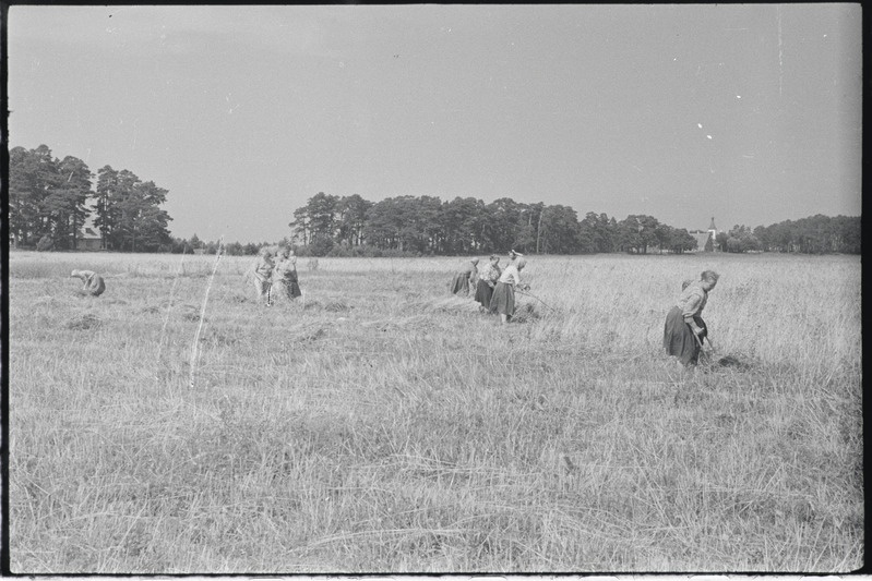 Filmi "Kihnu pulmakombed" filmimise ajal tehtud fotod. 1953.-1956. a.
